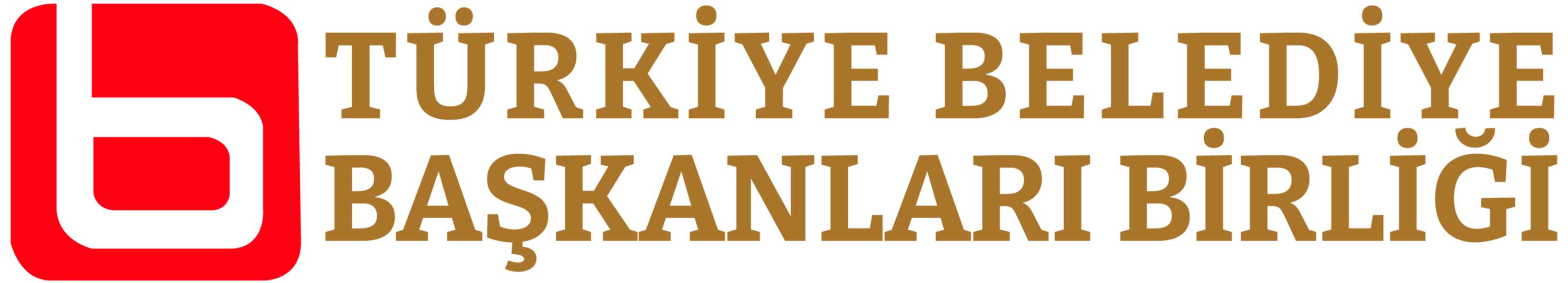 Türkiye Belediye Başkanlar Birliği